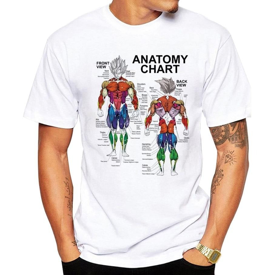 camiseta-dragon-ball-goku-anatomia