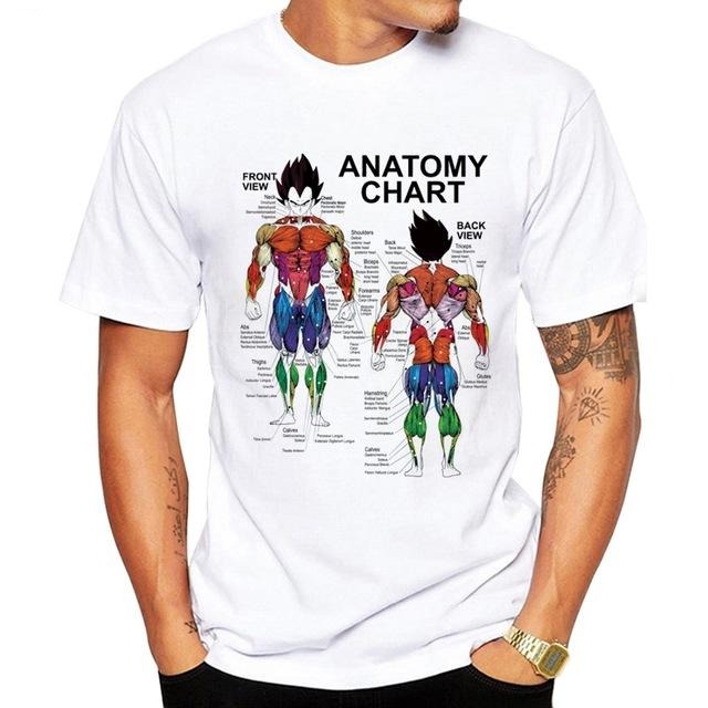camiseta-dragon-ball-vegeta-anatomia